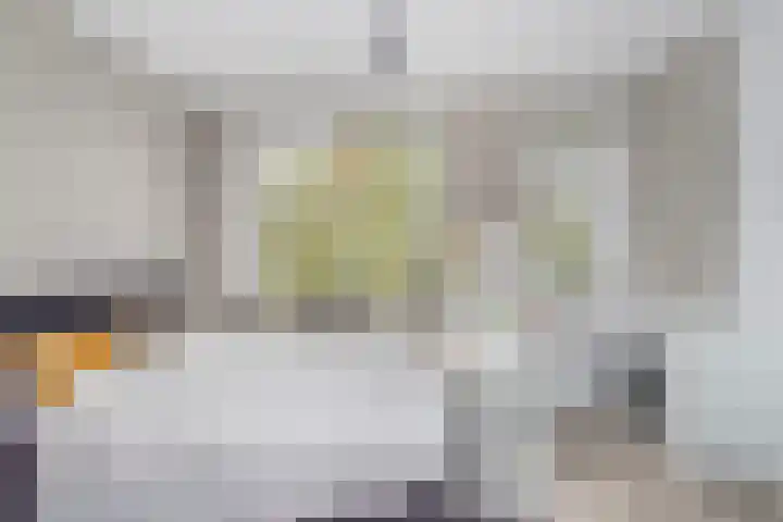 Van Eysingalaan 344 Utrecht thumbnail 9