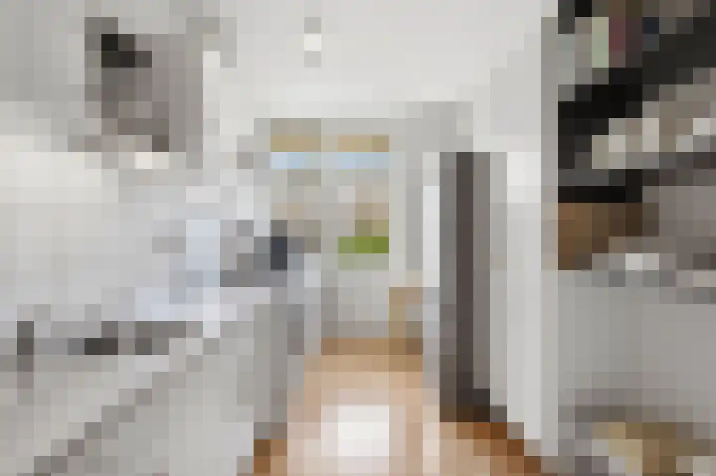 Van Eysingalaan 364 Utrecht thumbnail 15