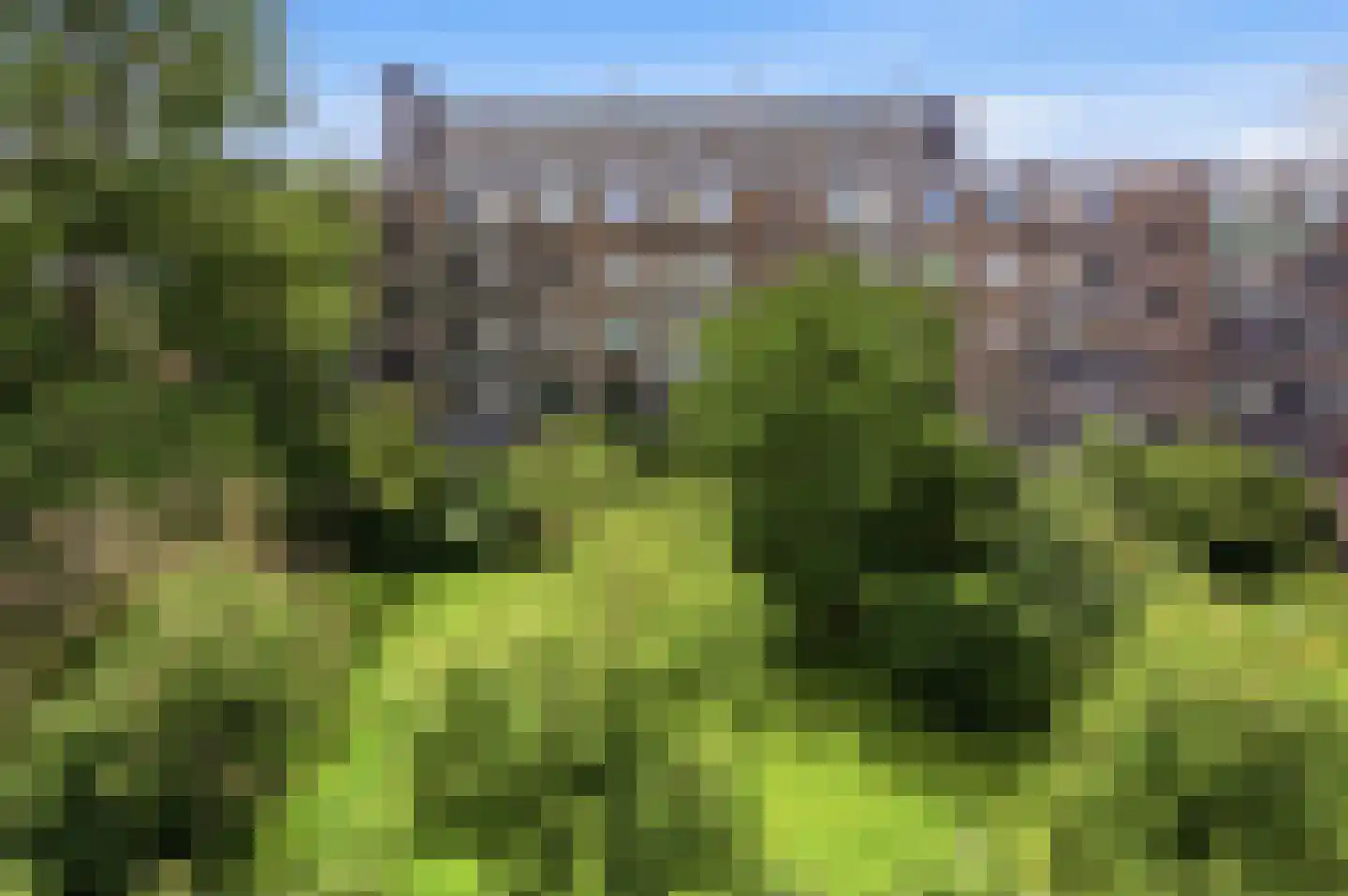 Van Eysingalaan 364 Utrecht thumbnail 21