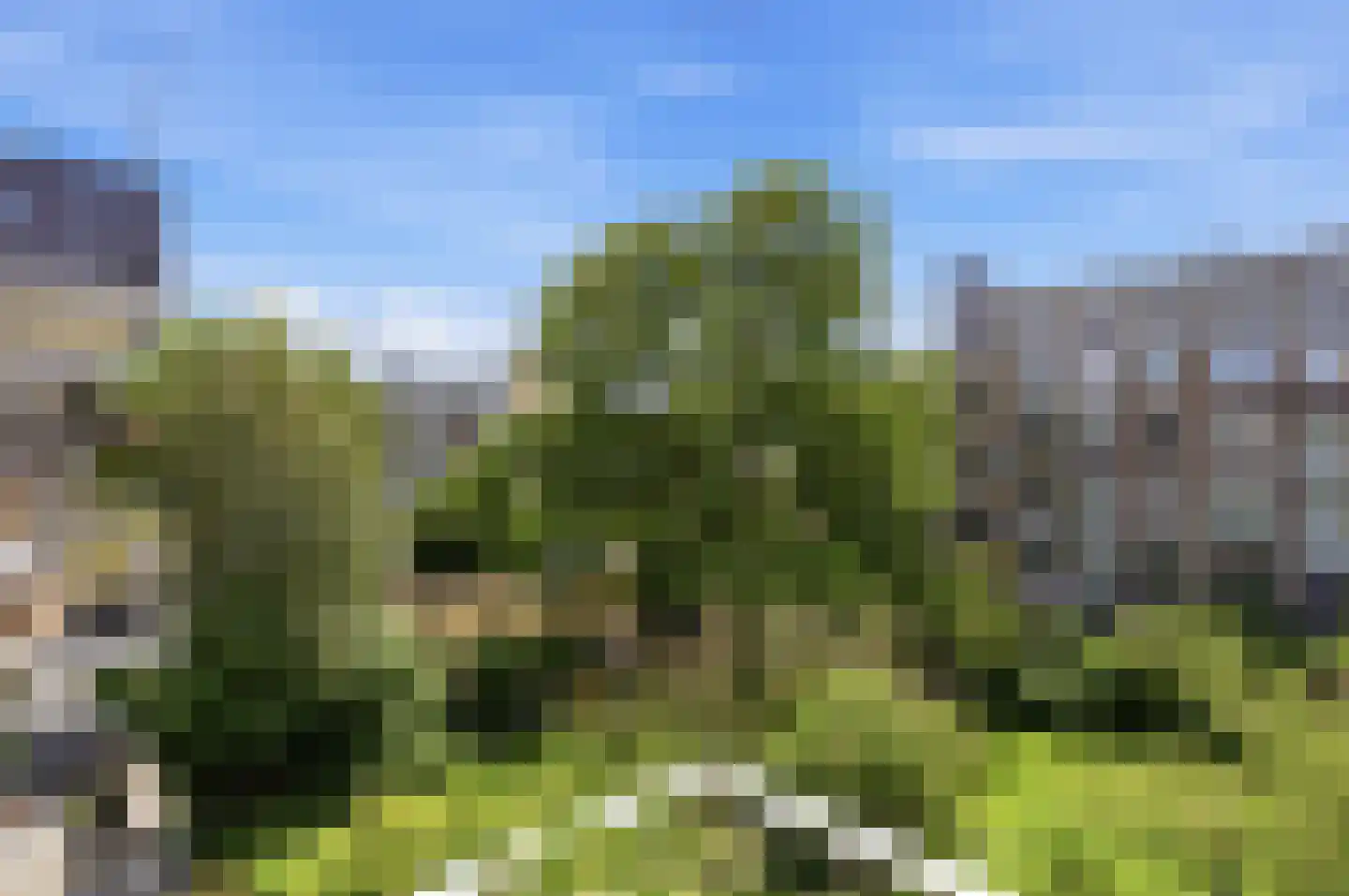 Van Eysingalaan 364 Utrecht thumbnail 22