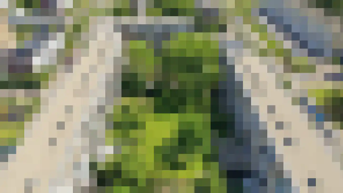 Van Eysingalaan 364 Utrecht thumbnail 39
