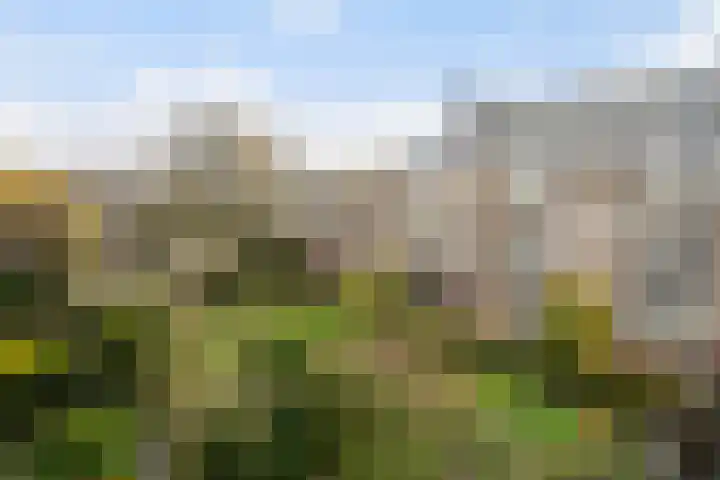 Van Eysingalaan 386 Utrecht thumbnail 11