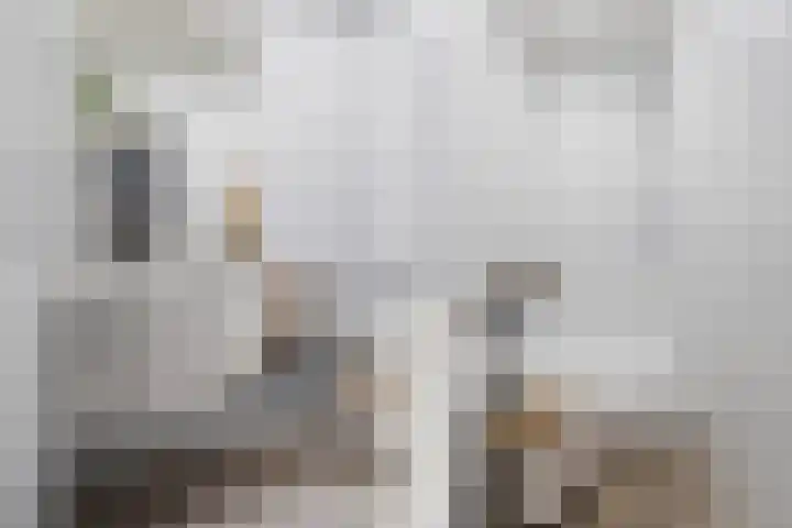 Van Eysingalaan 386 Utrecht thumbnail 16