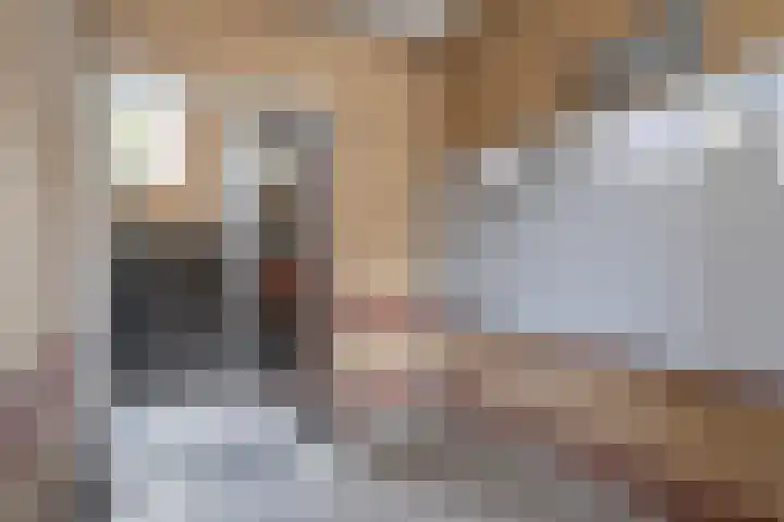 Van Eysingalaan 386 Utrecht thumbnail 26