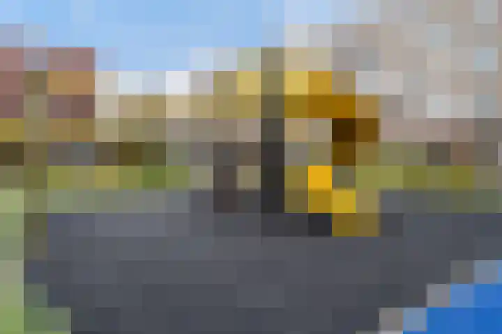 Van Eysingalaan 386 Utrecht thumbnail 30