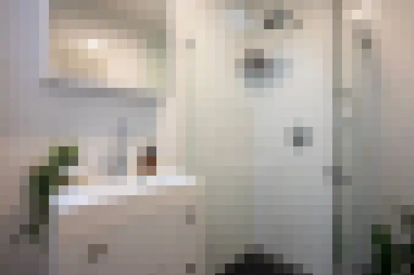 Van Eysingalaan 397 Utrecht thumbnail 22