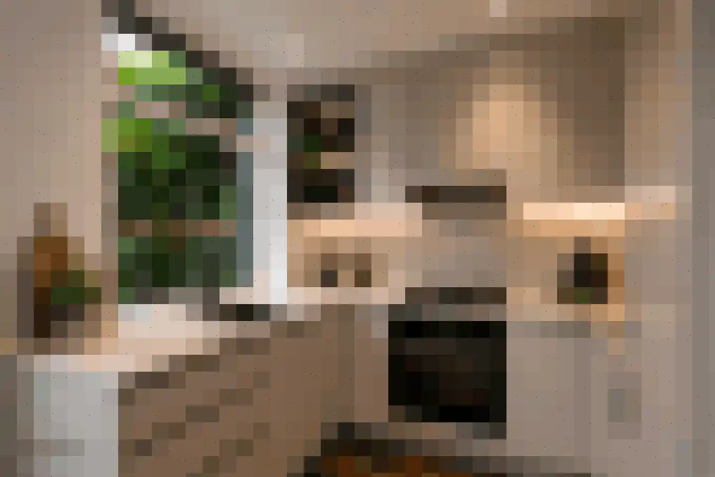 Van Eysingalaan 6 Utrecht thumbnail 13