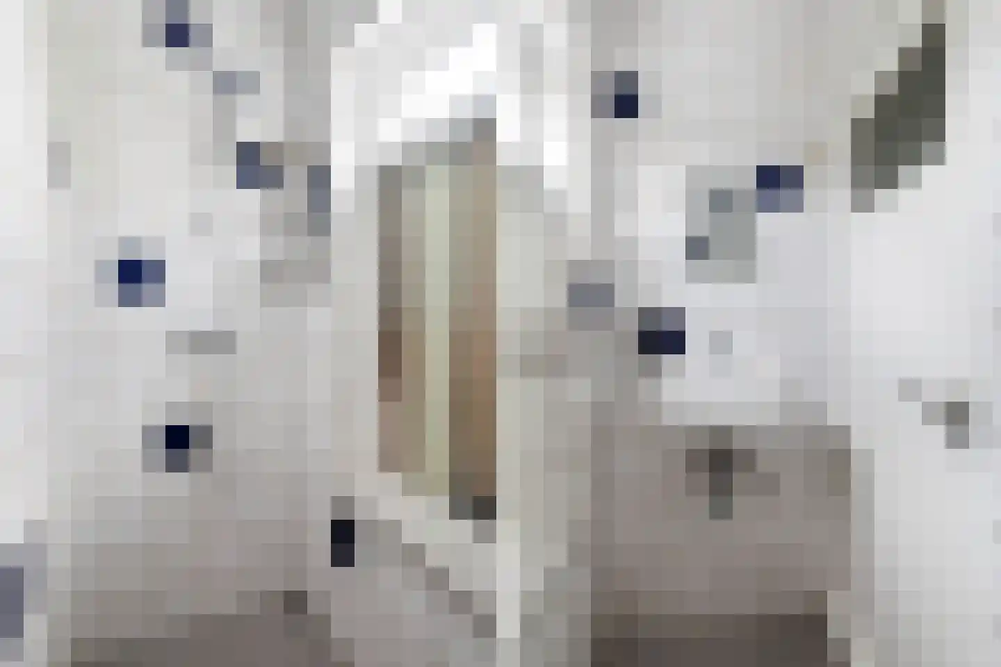 Van Eysingalaan 6 Utrecht thumbnail 23