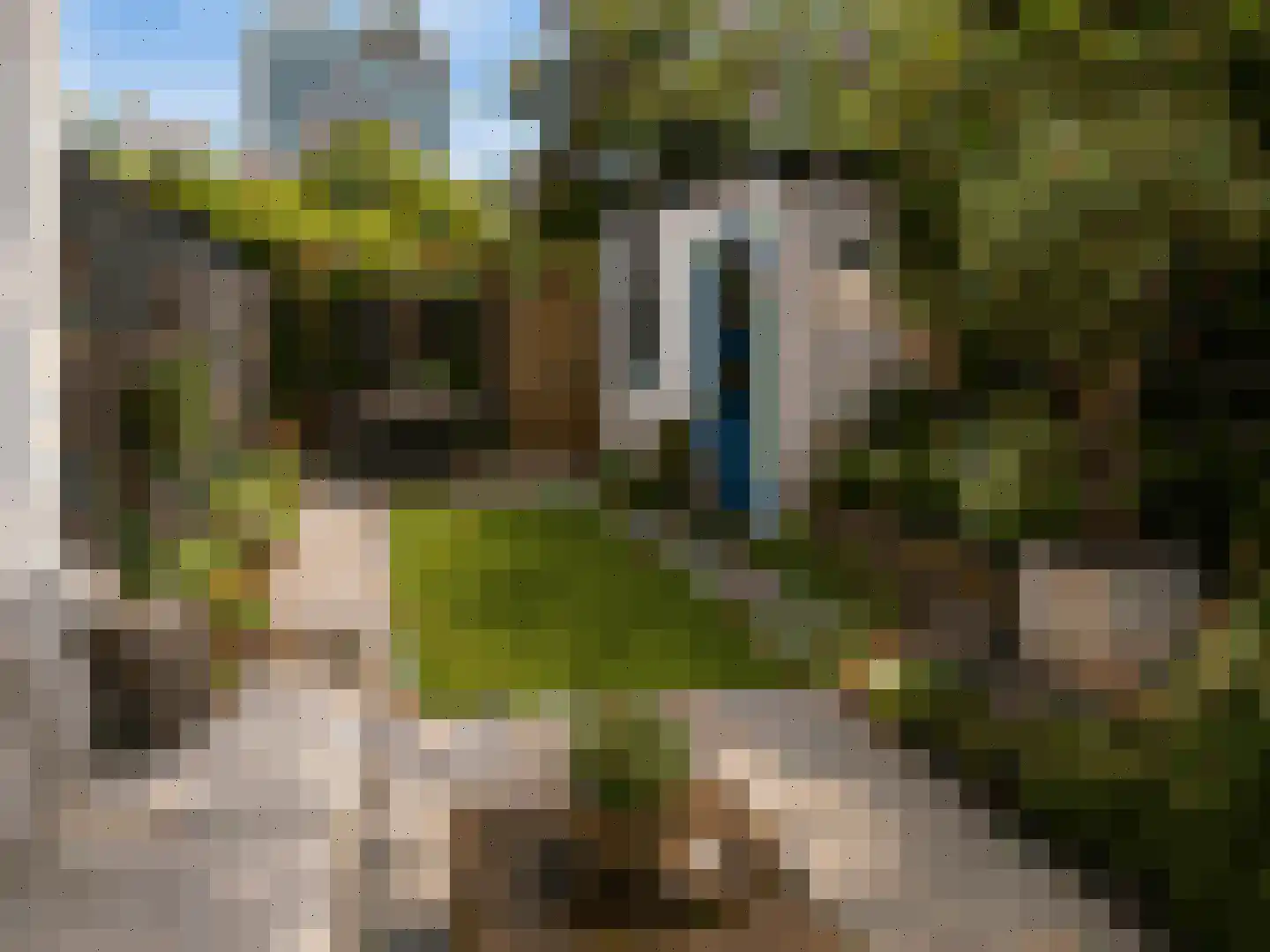 Van Eysingalaan 6 Utrecht thumbnail 24