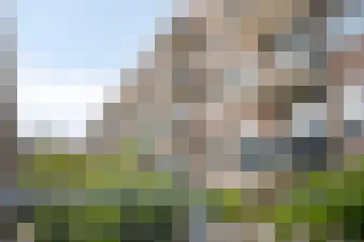 Van Eysingalaan 79 Utrecht thumbnail 23