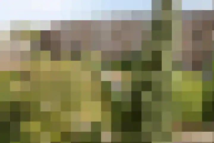 Van Eysingalaan 79 Utrecht thumbnail 4