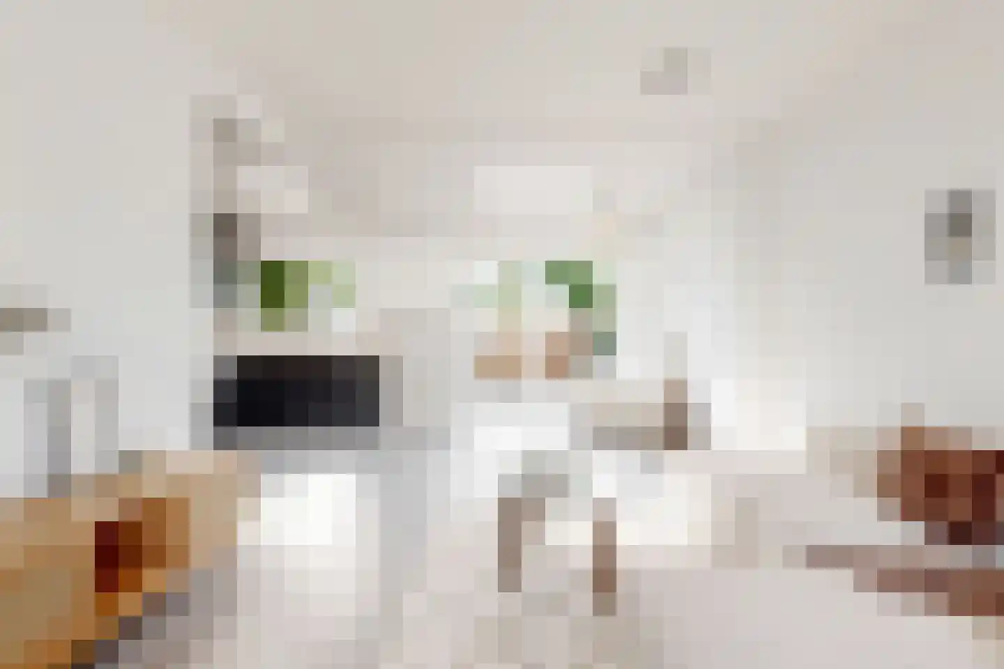 Van Eysingalaan 8 Utrecht thumbnail 10