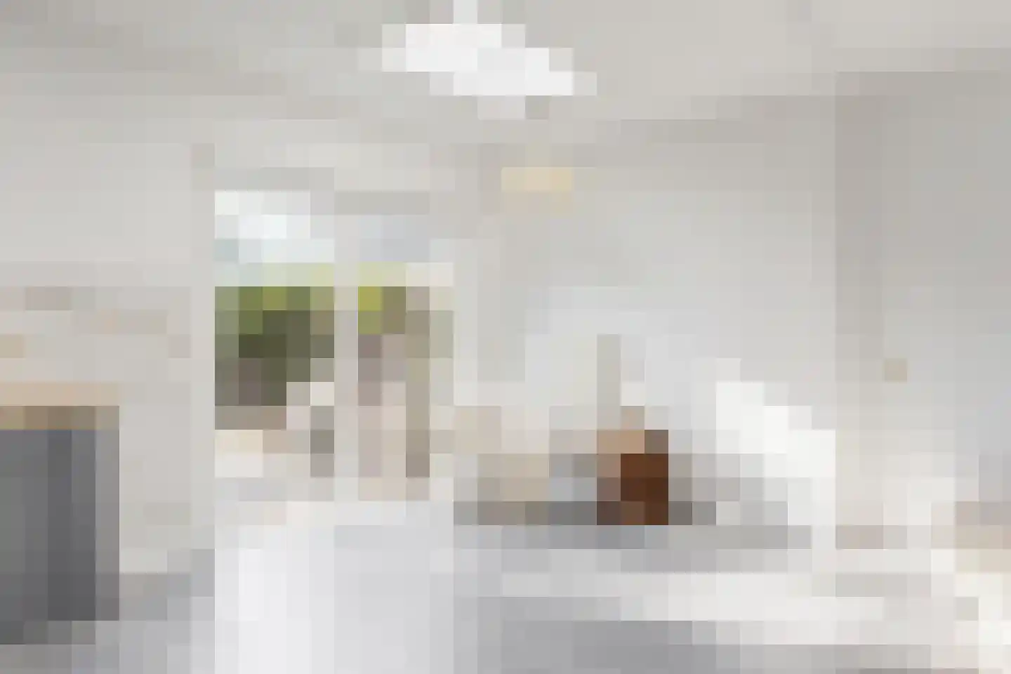 Van Eysingalaan 8 Utrecht thumbnail 12