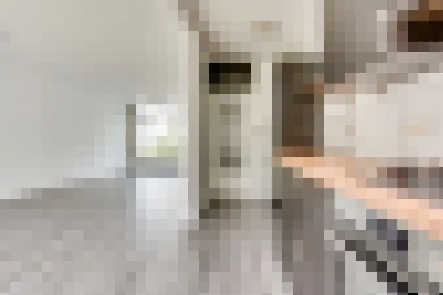 Van Eysingalaan 8 Utrecht thumbnail 12