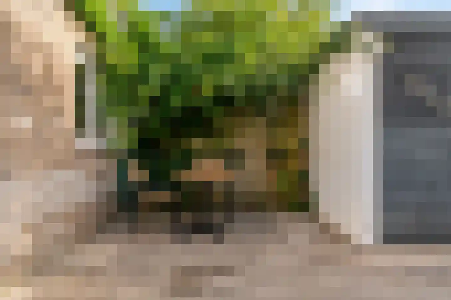 Van Eysingalaan 8 Utrecht thumbnail 20
