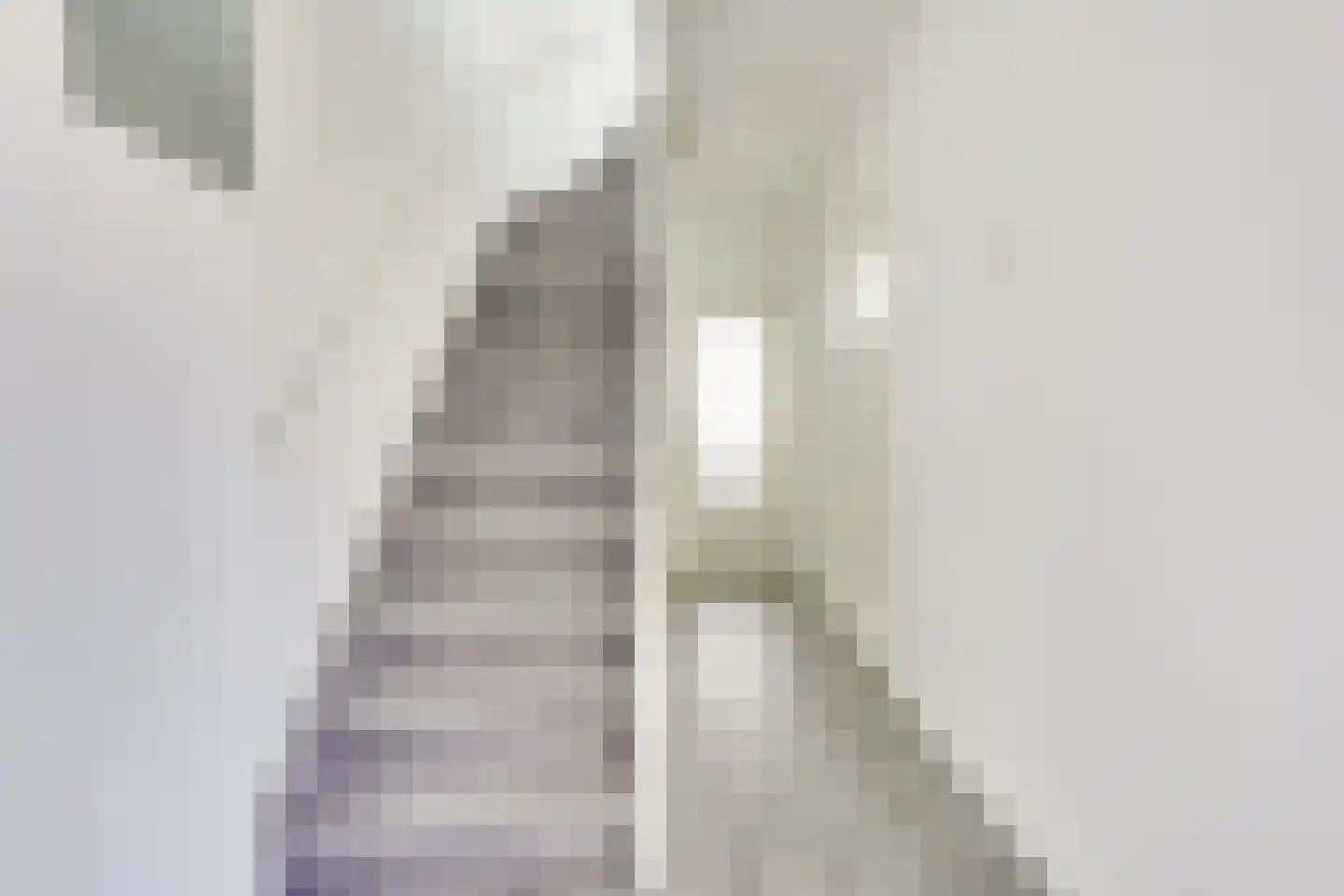 Van Eysingalaan 8 Utrecht thumbnail 23