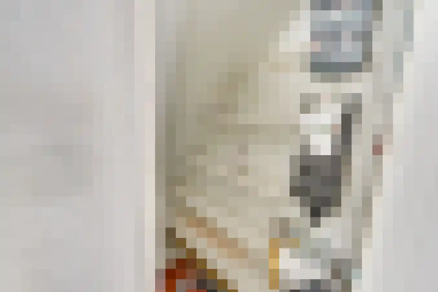 Van Eysingalaan 8 Utrecht thumbnail 25