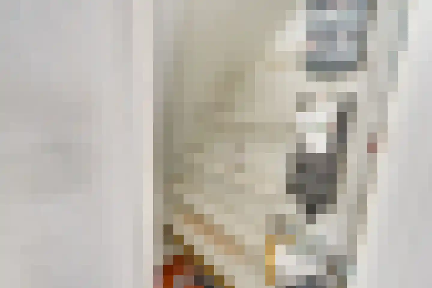 Van Eysingalaan 8 Utrecht thumbnail 25