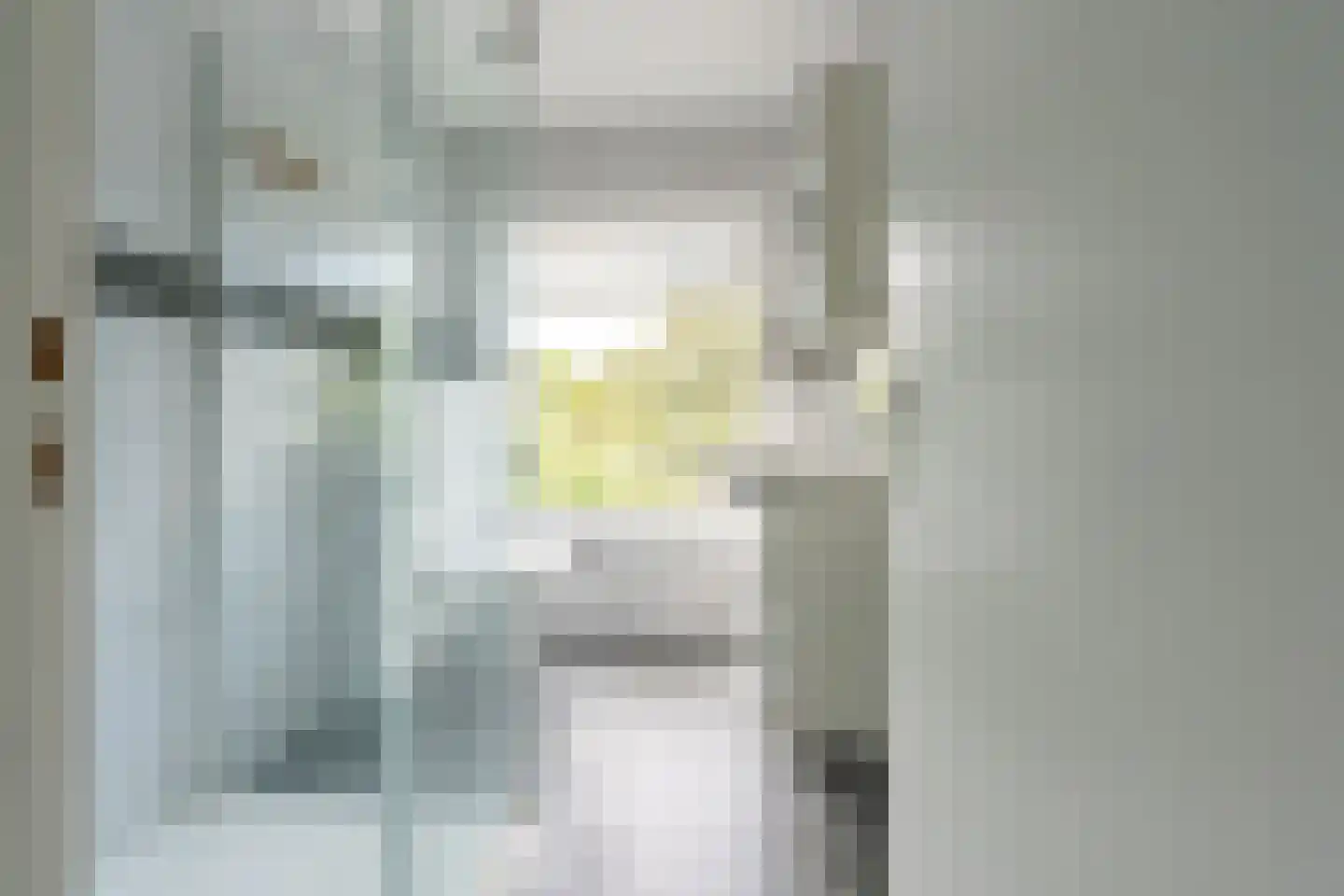 Van Eysingalaan 8 Utrecht thumbnail 34