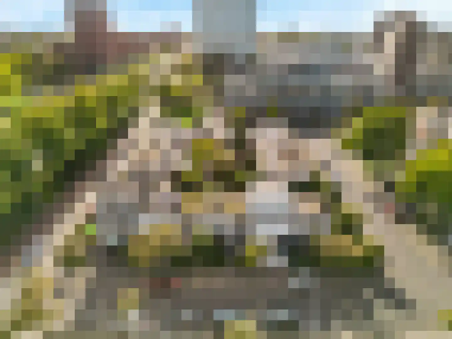 Van Eysingalaan 8 Utrecht thumbnail 38