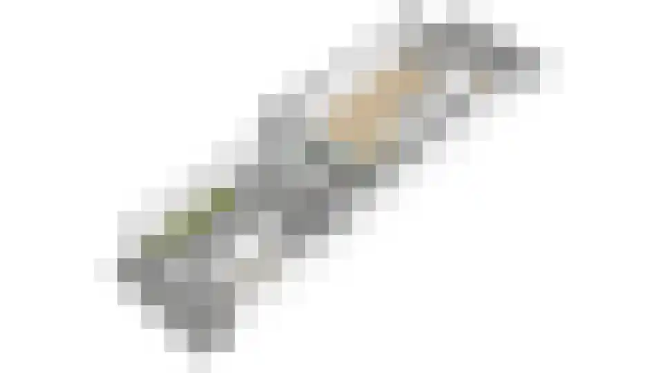 Van Eysingalaan 8 Utrecht thumbnail 51