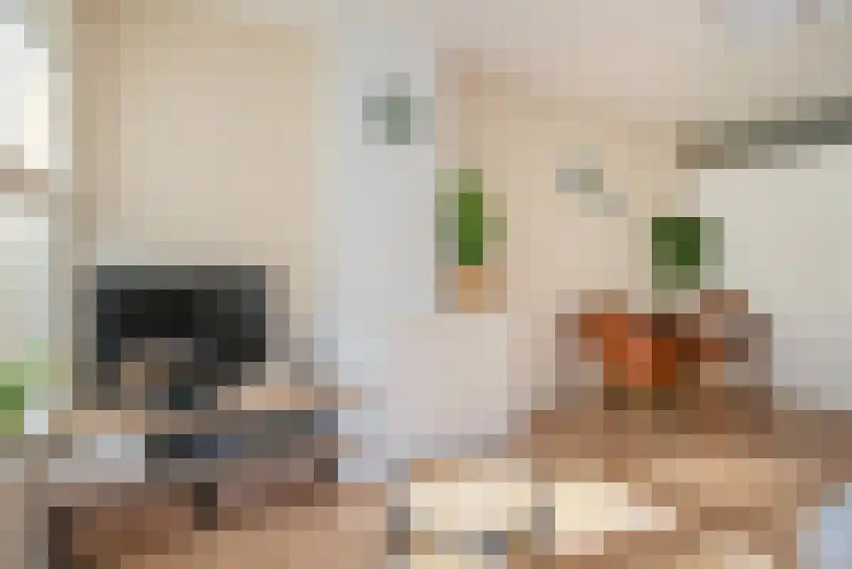 Van Eysingalaan 83 Utrecht thumbnail 5