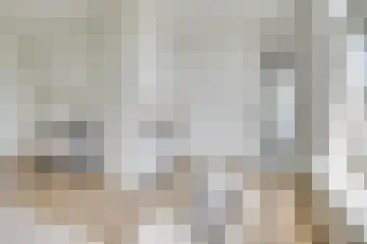Van Eysingalaan 84 Utrecht thumbnail 10