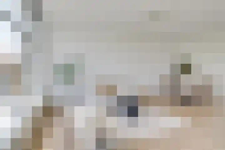 Van Eysingalaan 84 Utrecht thumbnail 13