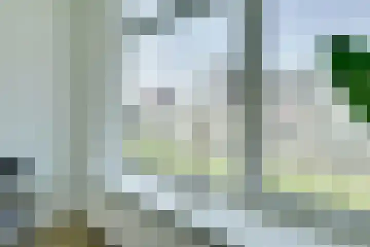 Van Eysingalaan 84 Utrecht thumbnail 27
