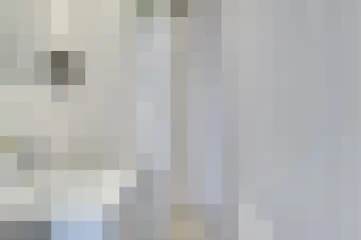 Van Eysingalaan 84 Utrecht thumbnail 28