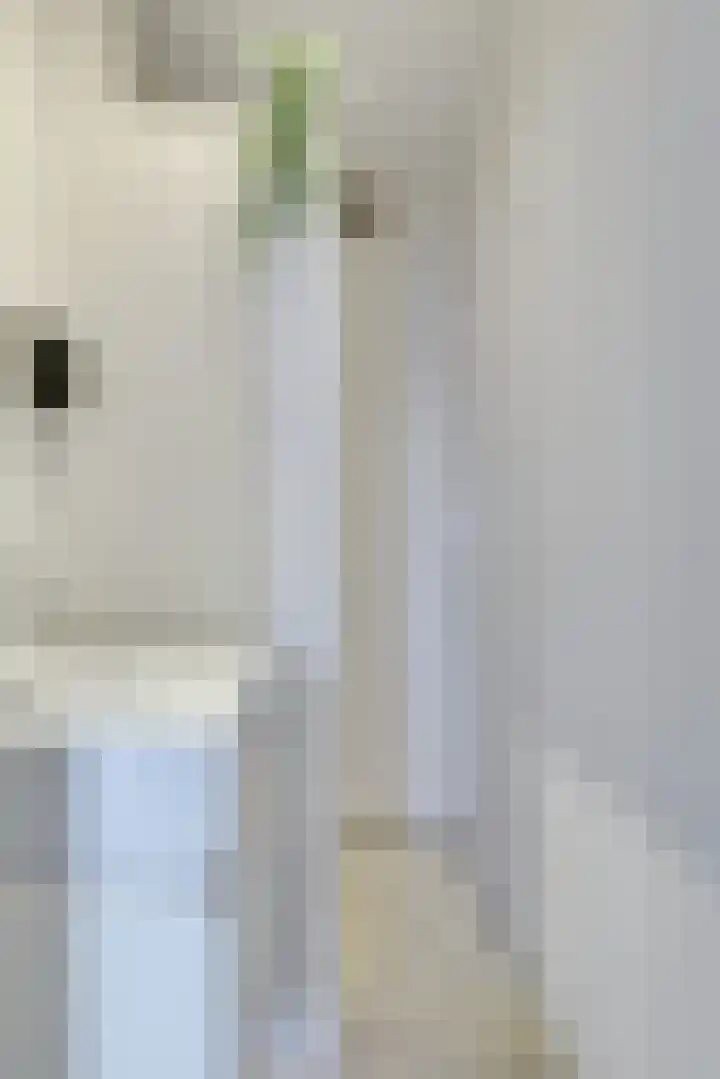 Van Eysingalaan 84 Utrecht thumbnail 30
