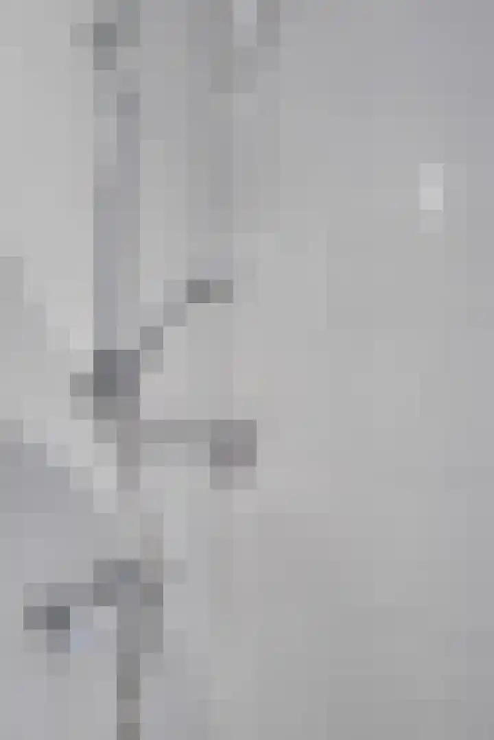 Van Eysingalaan 84 Utrecht thumbnail 31
