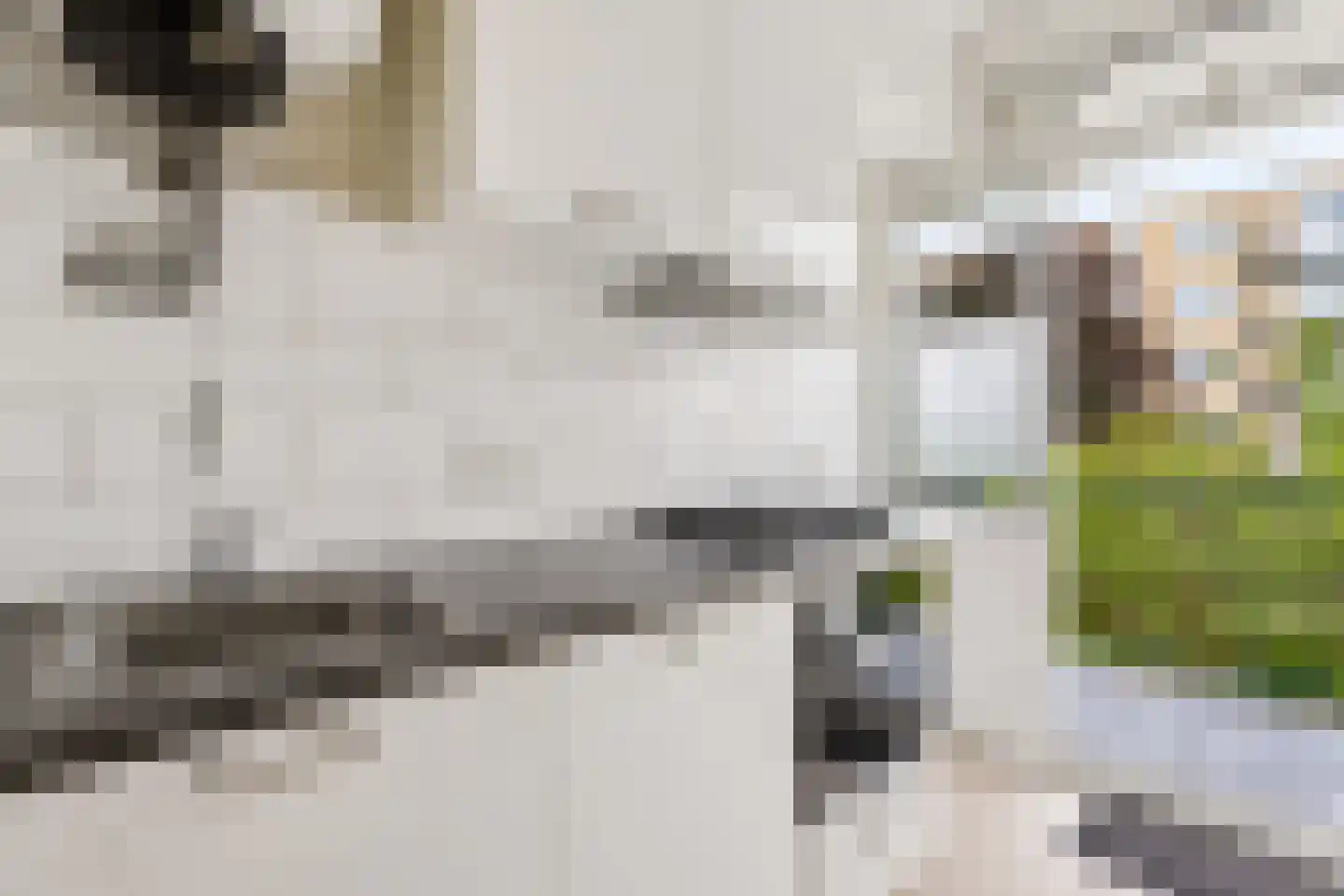 Van Eysingalaan 89 Utrecht thumbnail 17