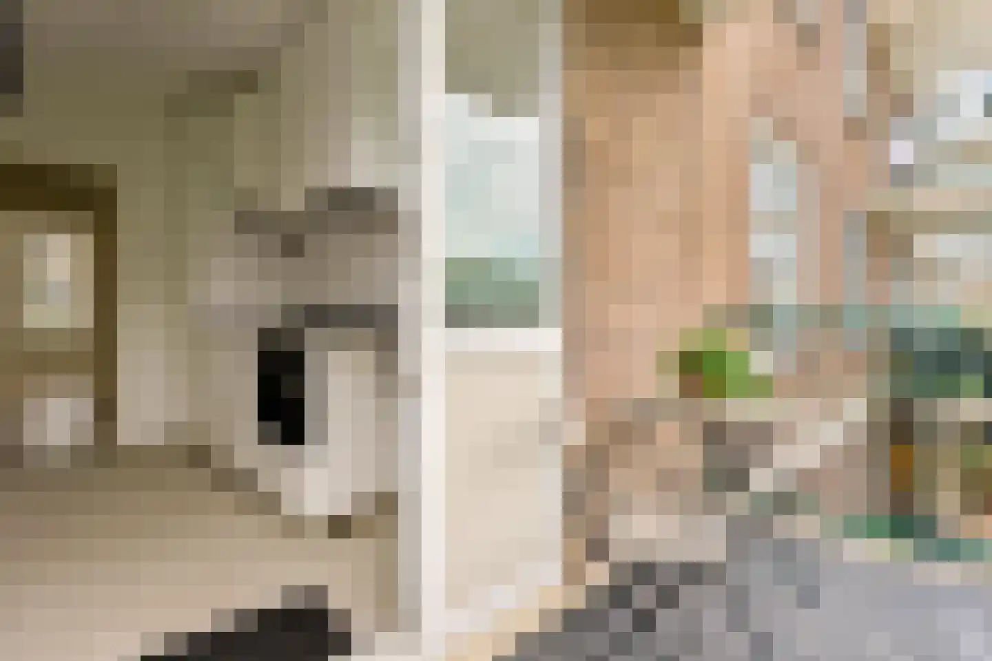 Van Eysingalaan 89 Utrecht thumbnail 18