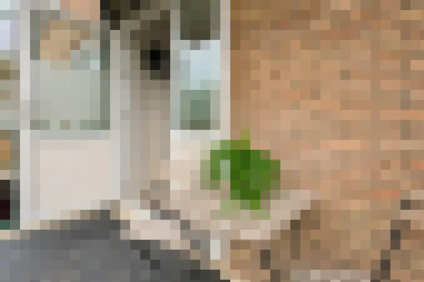Van Eysingalaan 89 Utrecht thumbnail 4