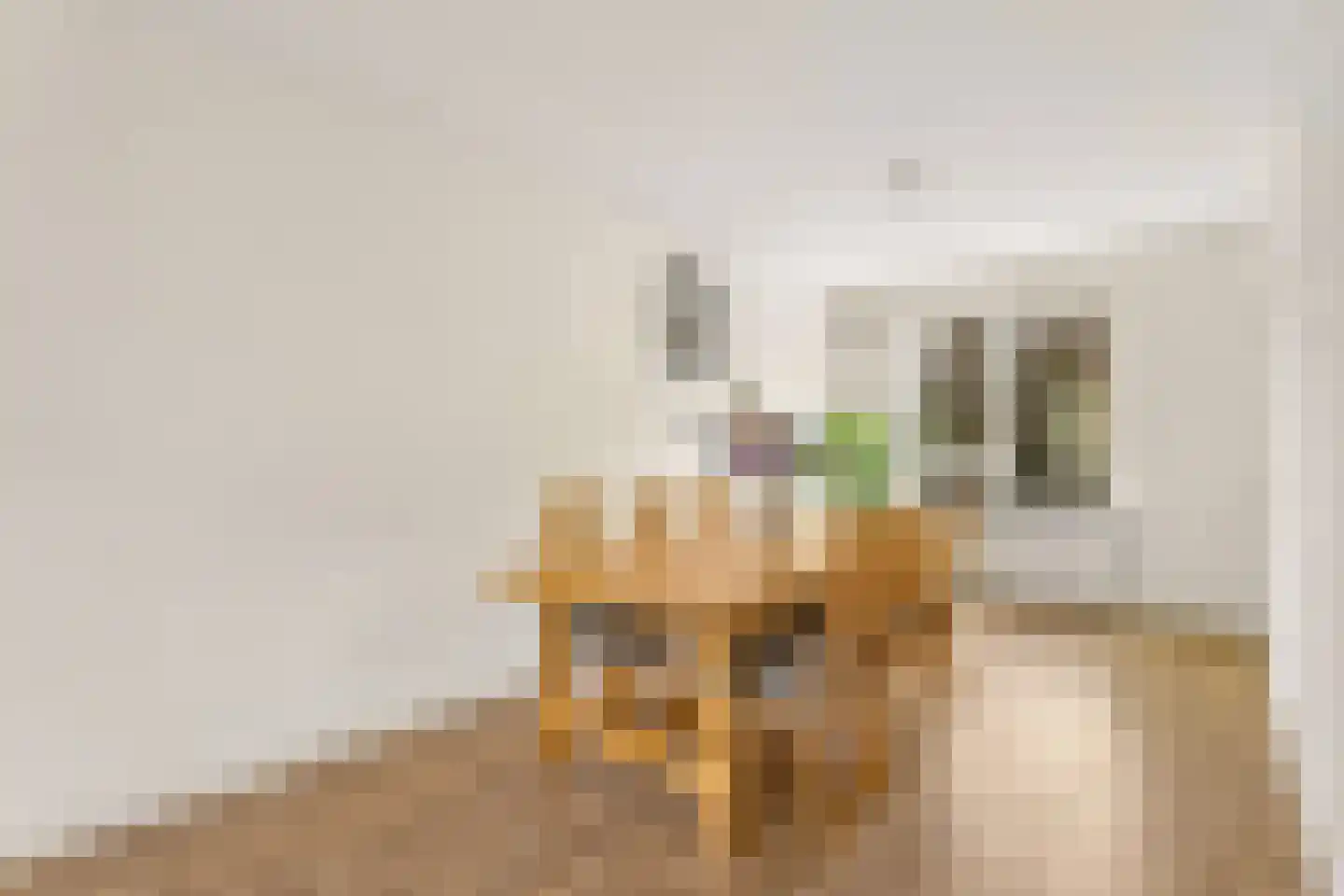 Van Eysingalaan 89 Utrecht thumbnail 8