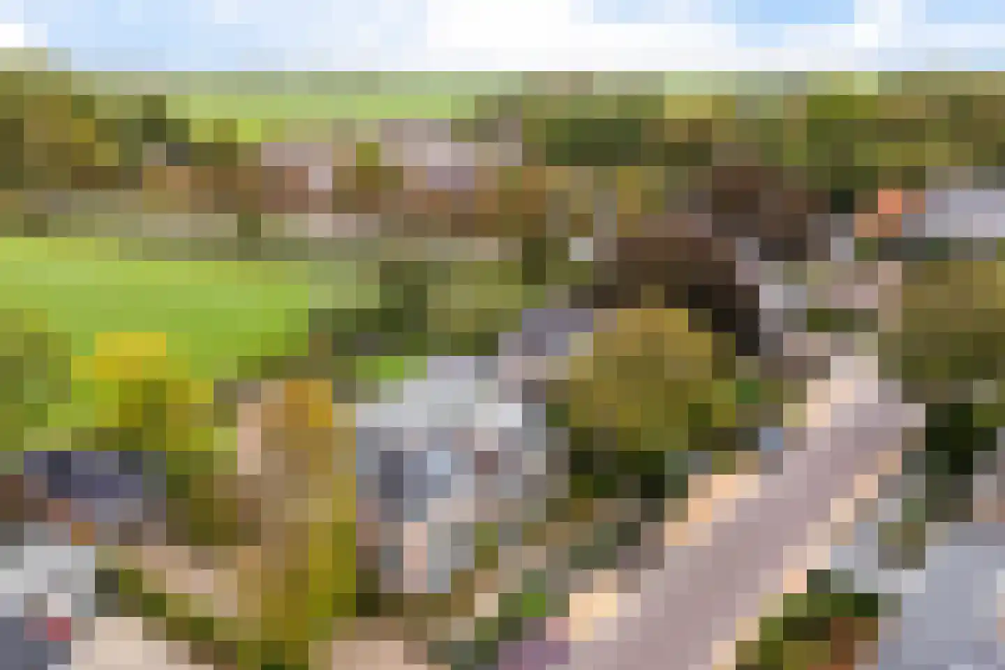 Van Eysingaleane 8 Easterein thumbnail 4