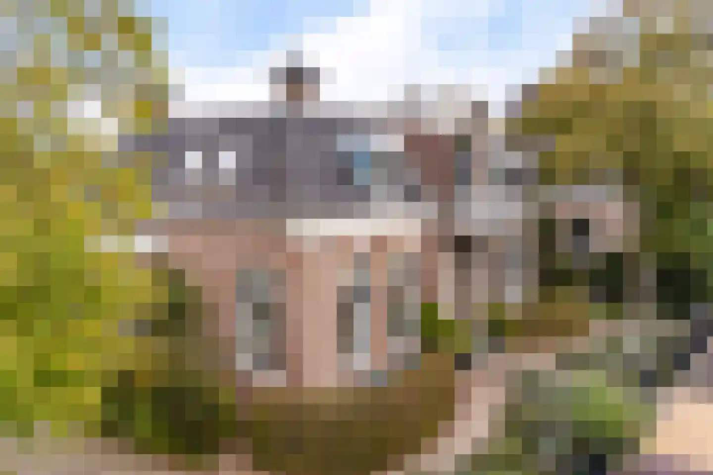 Van Eysingaleane 8 Easterein thumbnail 40