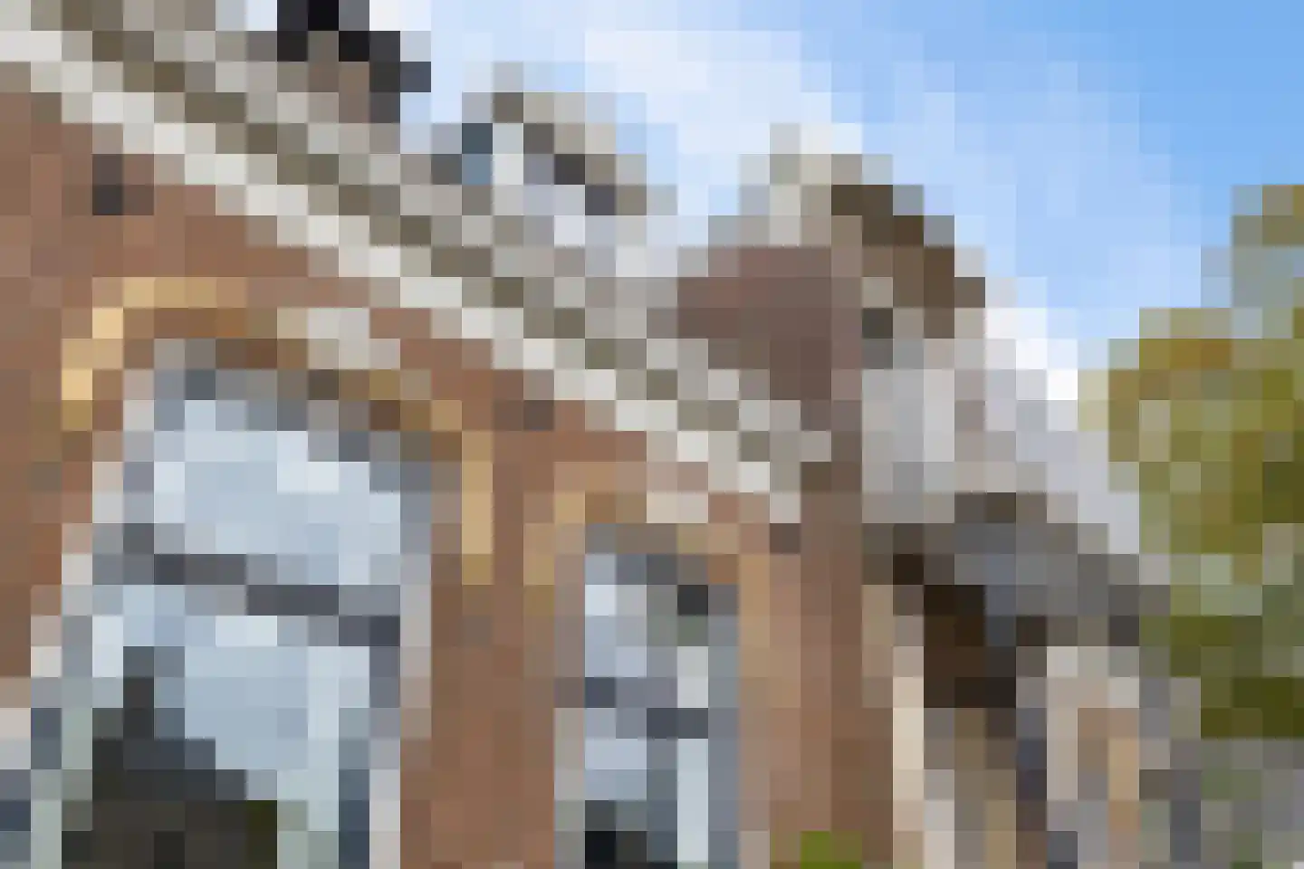 Van Eysingaleane 8 Easterein thumbnail 42