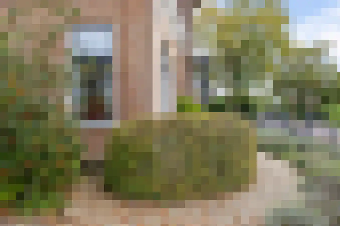 Van Eysingaleane 8 Easterein thumbnail 43