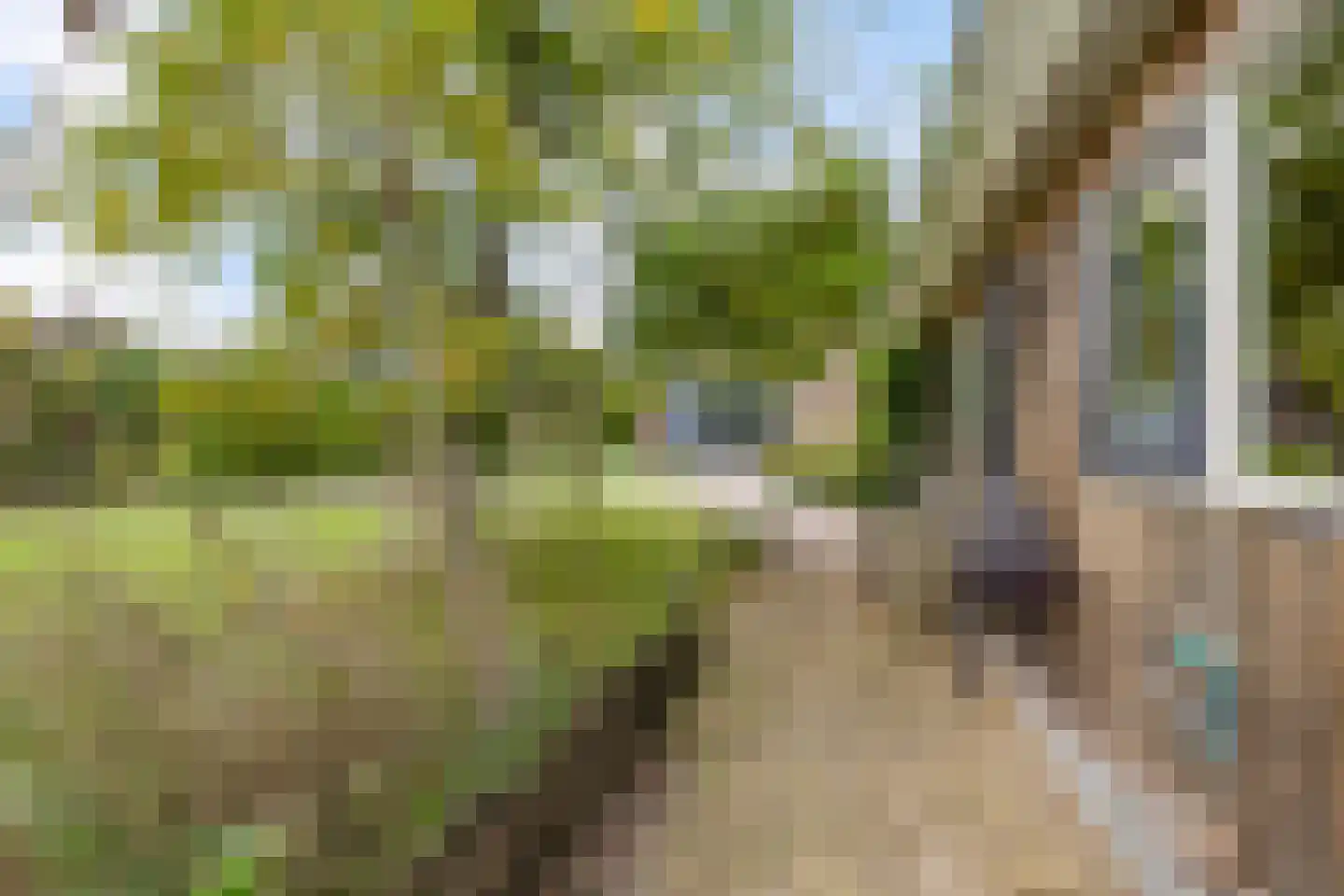 Van Eysingaleane 8 Easterein thumbnail 47