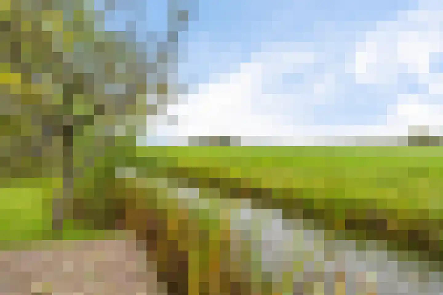 Van Eysingaleane 8 Easterein thumbnail 53