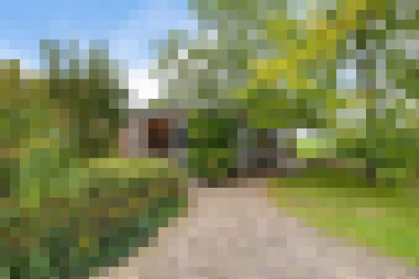 Van Eysingaleane 8 Easterein thumbnail 56