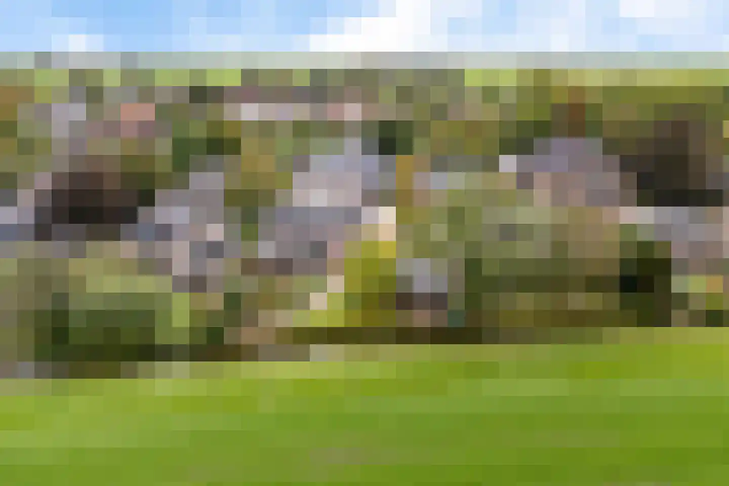 Van Eysingaleane 8 Easterein thumbnail 57
