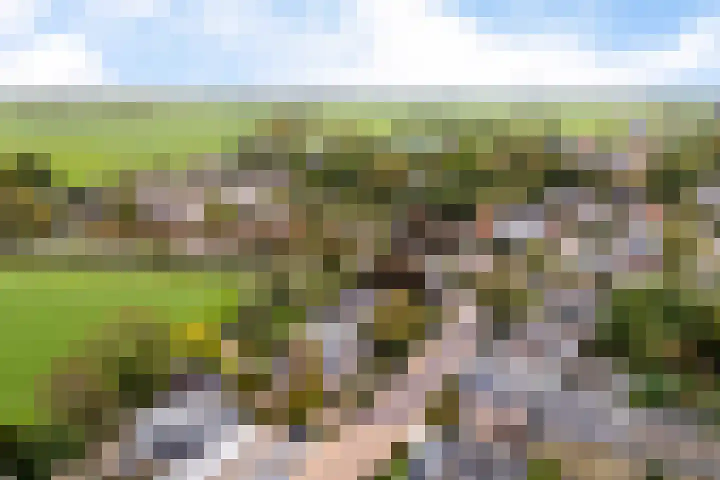 Van Eysingaleane 8 Easterein thumbnail 59