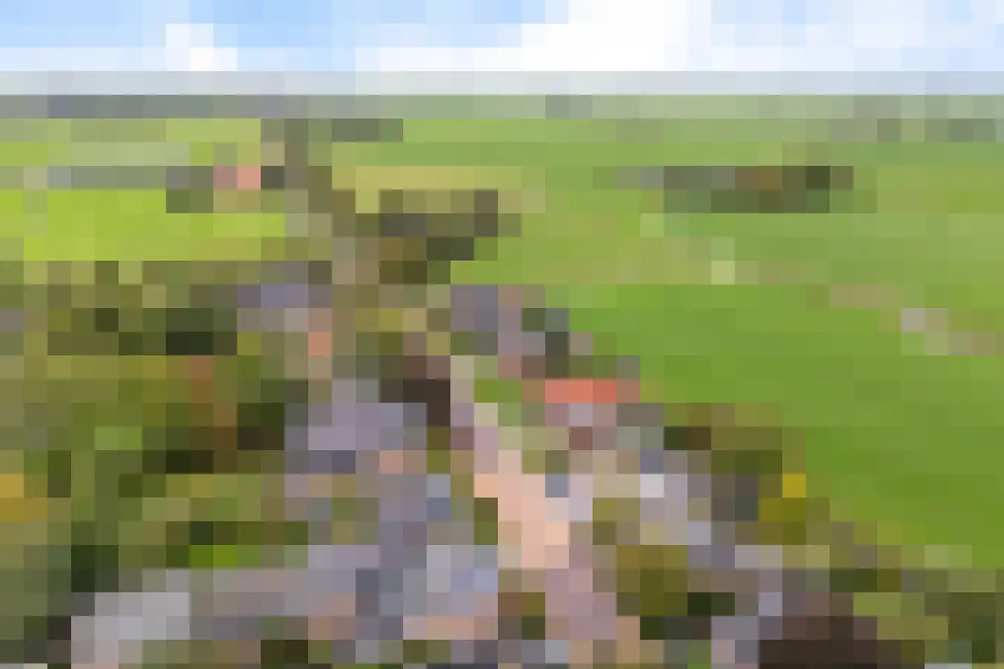Van Eysingaleane 8 Easterein thumbnail 64
