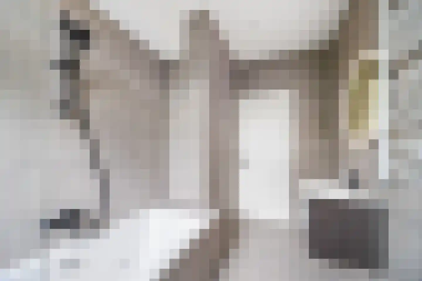 van Faukenbergeplein 15 Voorburg thumbnail 20
