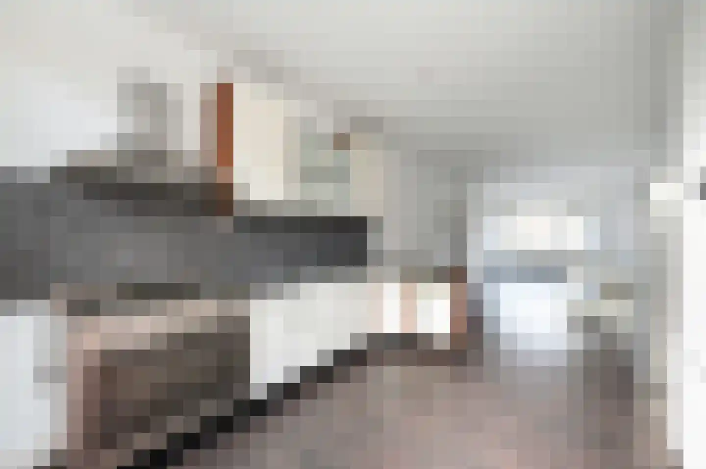van Faukenbergeplein 17 Voorburg thumbnail 9