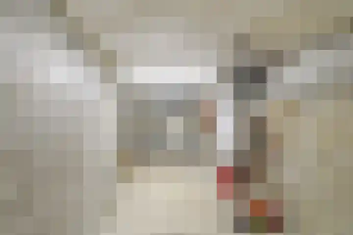 van Faukenbergestraat 38 Voorburg thumbnail 25