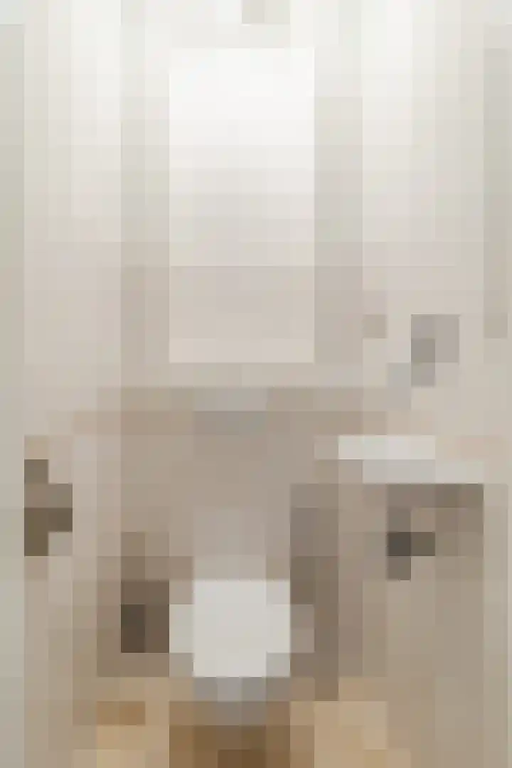 van Faukenbergestraat 38 Voorburg thumbnail 6